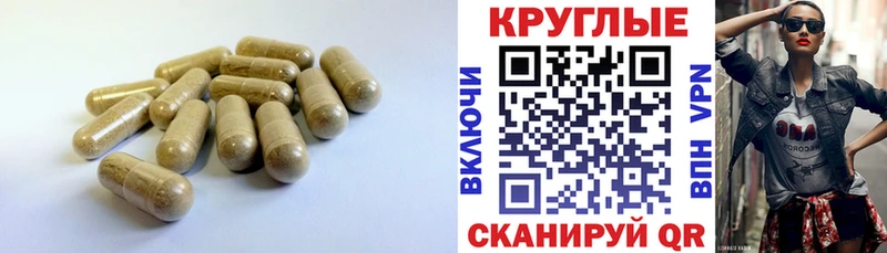 Купить закладки  Усть-Катав  Ecstasy бентли 