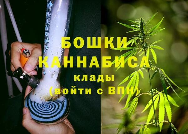 spice Кинешма