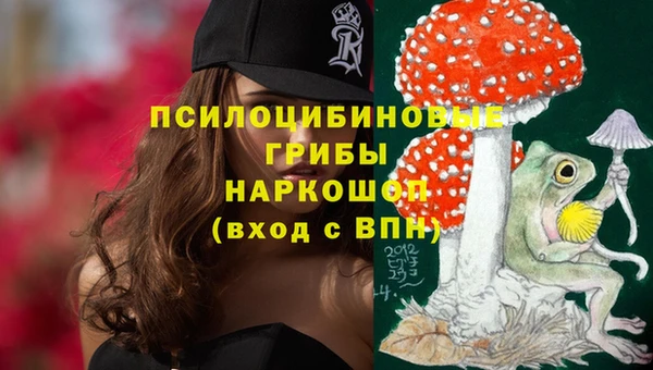 spice Кинешма
